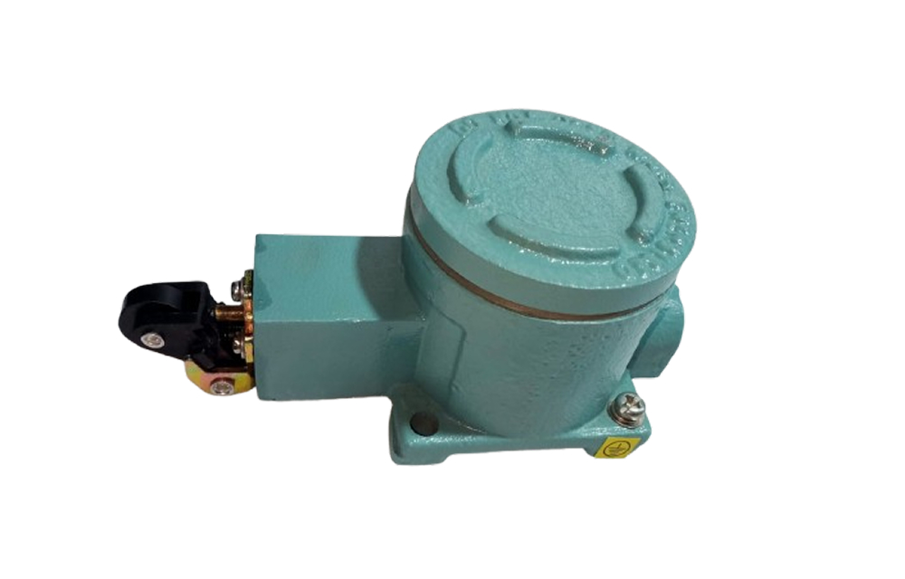 Flameproof Limit Switch (Roller/Lever Type)